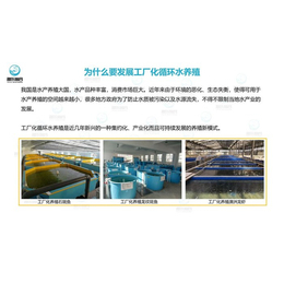 智慧農研 高效環保養魚新標桿，引領現代漁業綠色轉型